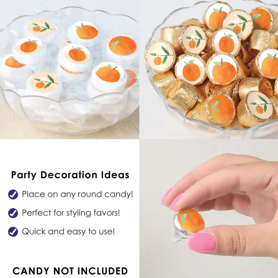 Big Dot of Happiness Little Clementine - Orange Citrus Baby Shower and Birthday Party Small Round Candy Stickers - Party Favor Labels - 324 Count {6}