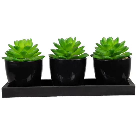 Northlight Mini Artificial Potted Succulents with Wood Planter - 5" - Set of 3 Black {1}