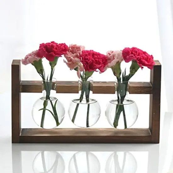 Plant Propagation Station Glass Terrarium Planter Flower Vase with Retro Solid Wooden Stand for Home Kitchen Indoor Garden Wedding Desktop Decor, 3 Bulb Vase {1}