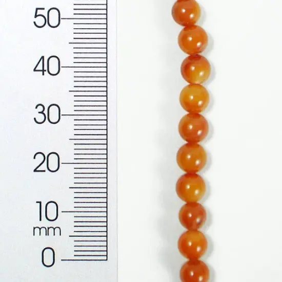 6 Packs of Tinted Shell Round2x8" Strand {1}