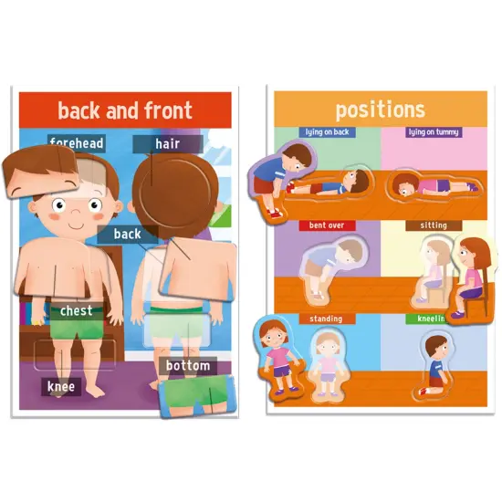 How We Are Made My First Human Body Game {2}