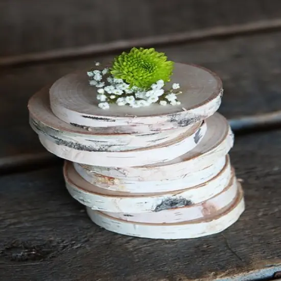 Birch Coasters (Set of 8) {4}