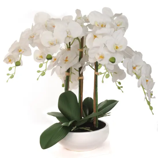 Set of 2: White Phalaenopsis Orchid Arrangement in White Ceramic Vase | 18-Inch | Lifelike Silk Flowers & Foliage | Table Centerpieces & Arrangements | Home & Office Decor {1}