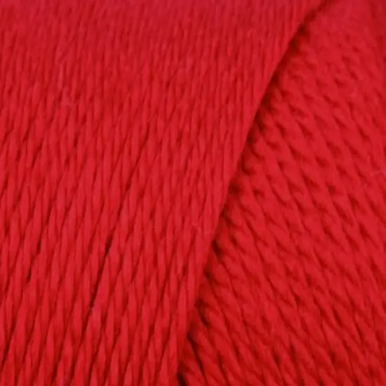 Multipack of 24 - Caron Simply Soft Solids Yarn-Harvest Red {4}