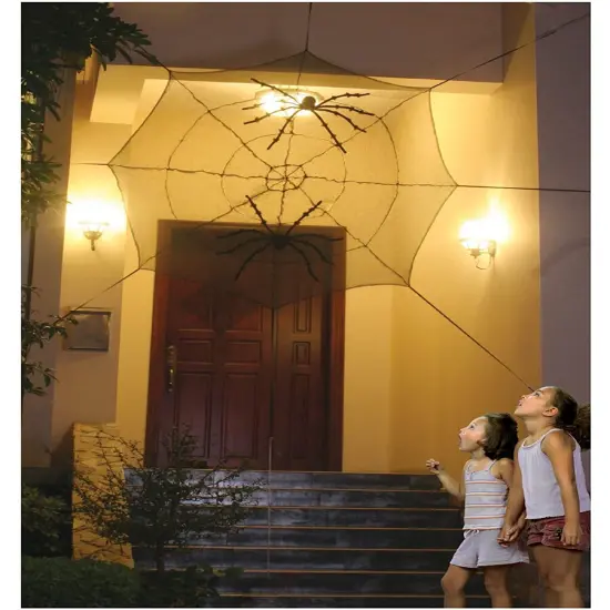 Spiders Web Decoration {1}