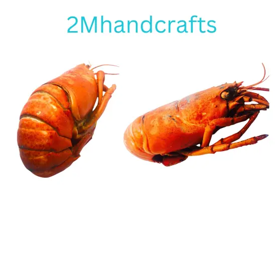 1pc Realistic Cooked Lobster Body Silicone Mold| Food Shape Silicone Mold| Soap| Candle | Mold for Wax| Mold for Resin| Not Food Grade {3}