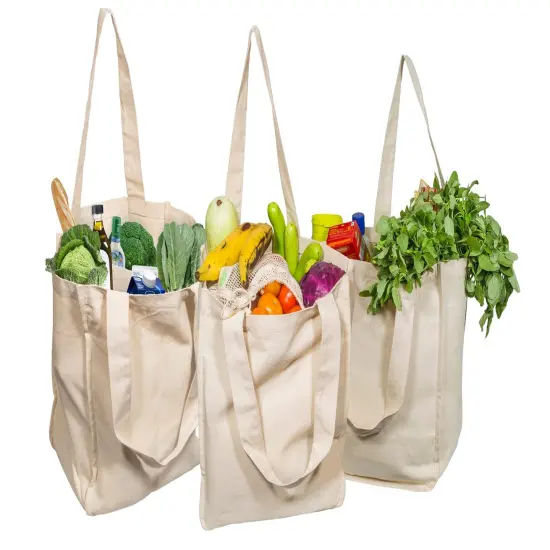Canvas Grocery Tote Bags {5}