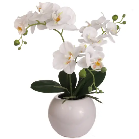 Phalaenopsis Orchid Arrangement: 13-Inch Silk Floral D&eacute;cor in Pot by Floral Home Artificial Flowers {1}