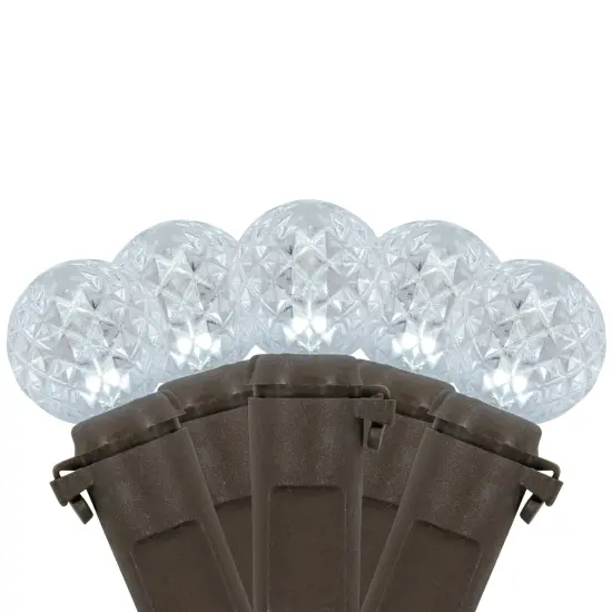 Northlight LED G12 Berry Christmas Lights - Pure White - 16' Brown Wire - 50ct {1}