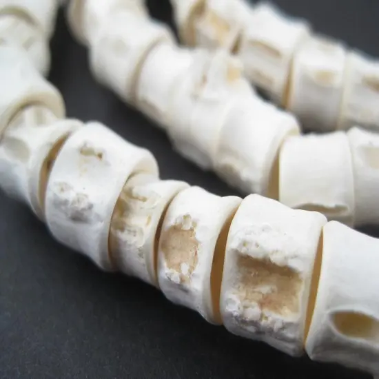 The Bead Chest Fish Vertebrae Beads - Full Strand of Recycled African Bone Beads (8-12mm) {2}