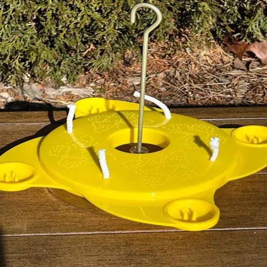 Butterfly Feeder {6}