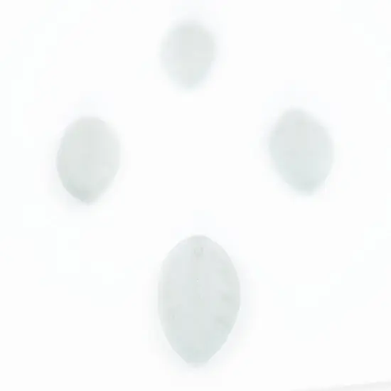 The Bead Chest Leaf Sea Glass Pendants, Frosted Matte Eco-Friendly Translucent Recycled Glass Charms for Jewelry & Necklace Making {4}