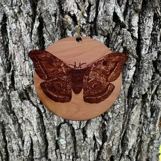American Silkworm Moth - Cedar Ornament {4}