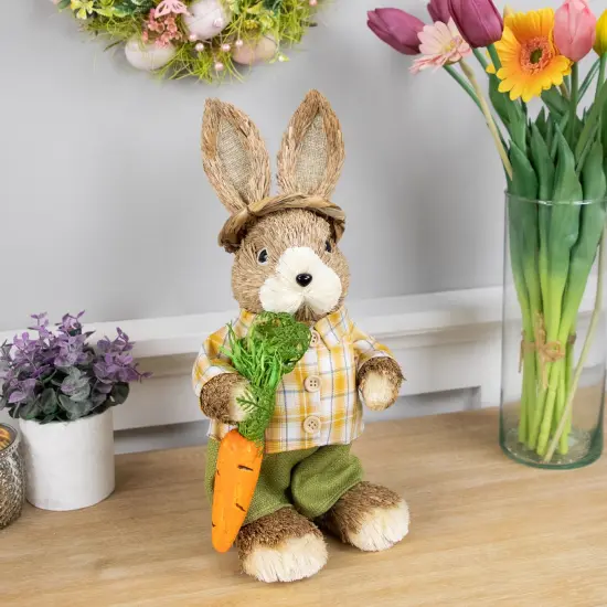 Northlight Rustic Boy Rabbit with Carrot Standing Easter Figure - 13.75" - Brown and Yellow {3}