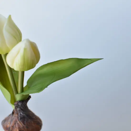 8" Faux Real Touch White Tulips in Bulb w/pick {4}