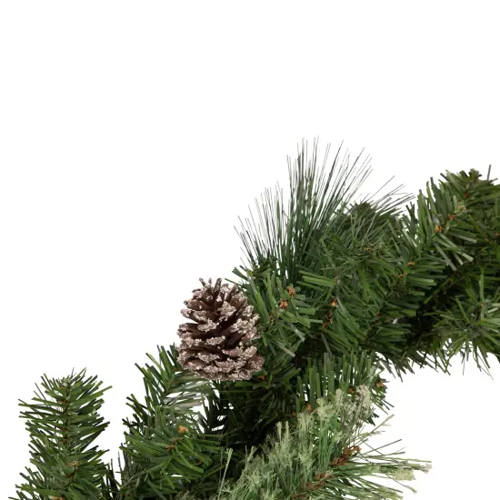 Northlight Frosted Pine Cone and Berry Artificial Christmas Garland - 6' - Unlit Green {4}