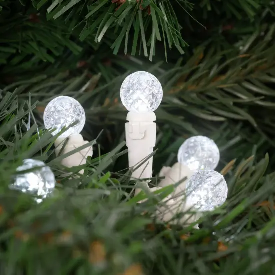 Northlight LED G12 Berry Christmas Lights - Pure White - 16' White Wire - 50ct {3}