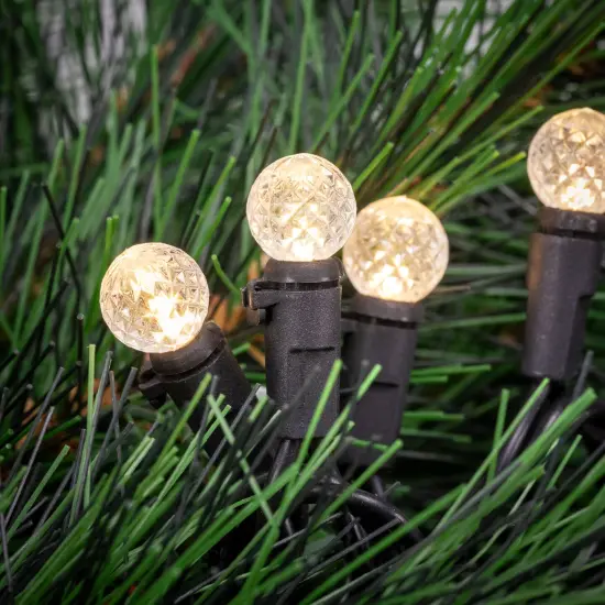 Northlight LED G12 Berry Christmas Lights - Warm White - 16' Black Wire - 50ct {3}