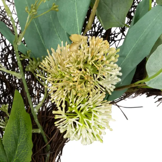 Northlight Eucalyptus and Olive Leaf Twig Spring Wreath, 24-Inch Green {6}