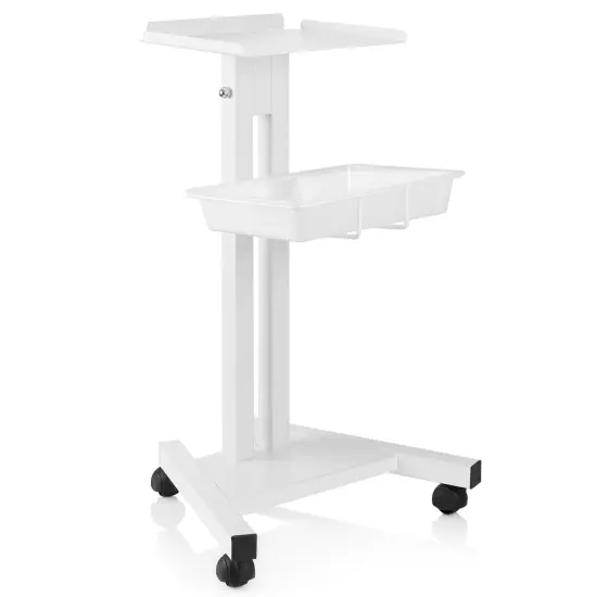 Esthology Rolling Equipment Cart {1}