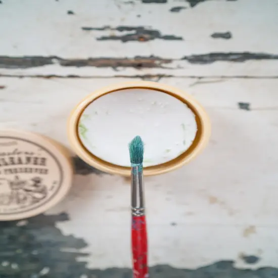 The Masters(R) Brush Cleaner & Preserver-2.5oz {3}