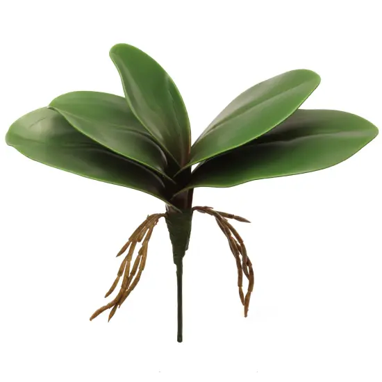 10.5" Green Phalaenopsis Leaf Cluster - Lifelike Artificial Foliage for Home Decor, Floral Arrangements, and Crafting {1}