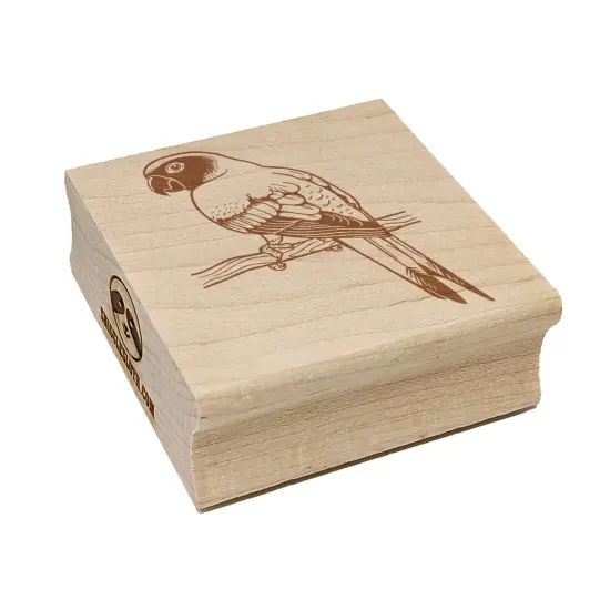 Sun Conure Parrot on a Branch Square Rubber Stamp for Stamping Crafting {7}