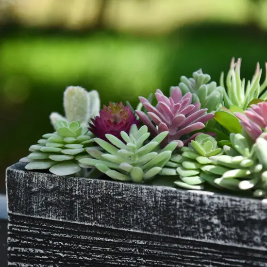 20 Pack Bulk Large Assorted Realistic Artificial Faux Succulents Aloe Plants Realistic Fake Succulent Plants, Largest Set of Succulents {4}