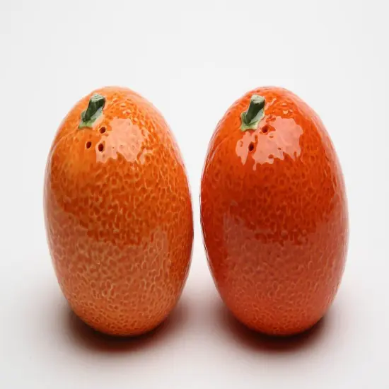 Hand Painted Ceramic Orange Salt & Pepper Shakers, Home Décor, Gift for Her, Gift for Mom, Kitchen Décor, Farmhouse Décor {3}