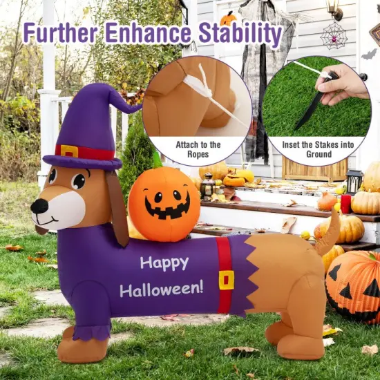 5 Feet Long Halloween Inflatable Dachshund Dog with Pumpkin {6}