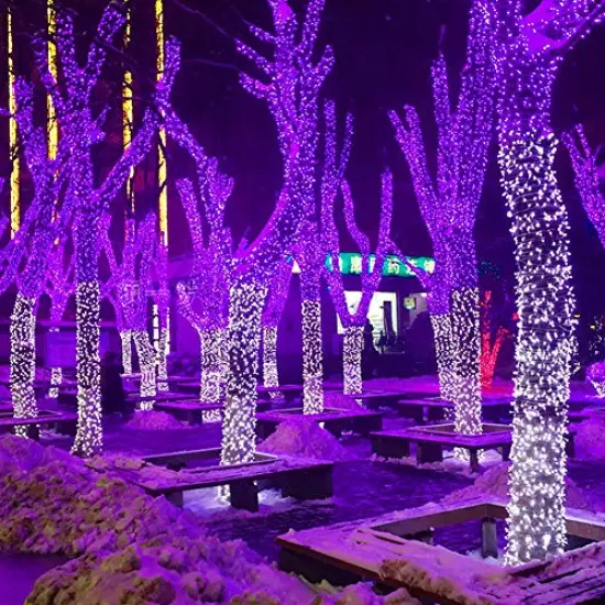 HOME LIGHTING 66ft Halloween Decorative Mini Lights, 200 LED Green Wire Fairy Starry String Lights Plug in, 8 Lighting Modes, for Indoor Outdoor Xmas Tree Wedding Party Decoration (Purple) {6}