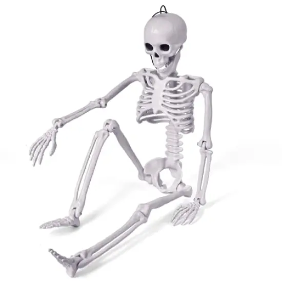 24 Inches Halloween Posable Skeleton, Full Body Skeleton Movable Joints, Plastic Bones for Hanging Halloween Decorations {2}
