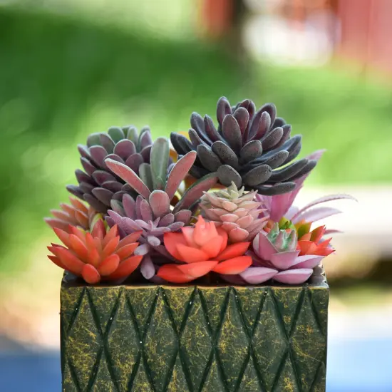 15 Pack Bulk Large Assorted Realistic Artificial Faux Succulents Aloe Plants Realistic Fake Succulent Plants, Largest Set of Succulents {3}