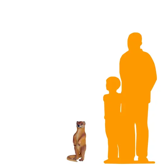 Mongoose Life Size Statue {2}