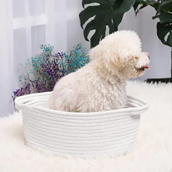 ABenkle Cute Small Woven Basket with Handles, 12"x 8" x 5" Rope Room Shelf Storage Basket Chest Box for Cat and Dog Toys, Empty Decorative Gift - White {6}