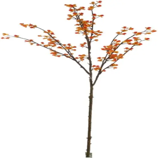 38-Inch Orange Bittersweet Spray with Silk Blooms - Set of 12, Lifelike Floral Stems for Autumn Decor & Seasonal Arrangements, Floral Home by Artificial Flowers {1}