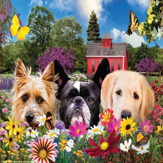 Sunsout Peek-a-Boo 500 pc Jigsaw Puzzle 72051 {1}