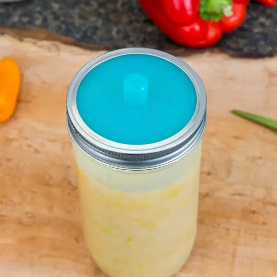 Pickle Pipe Fermentation Jar BPA-Free Silicone Lids Self-Sealing Pack of 3 {3}