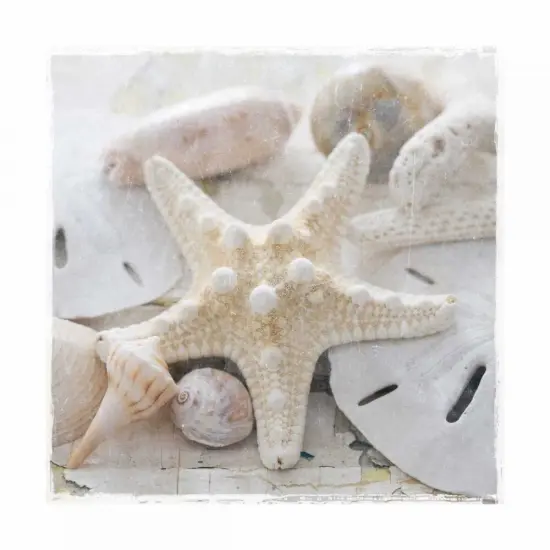 Sanibel I Poster Print by Sally Jackson - Item # VARPDX15325 {2}