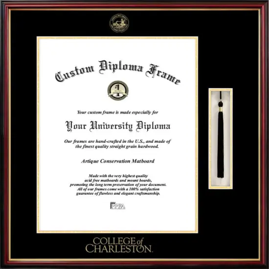 College of Charleston 16w x 20h Tassel Box and Diploma Frame {1}