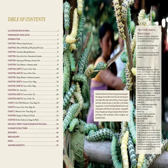 In Search of Wild Silk {2}