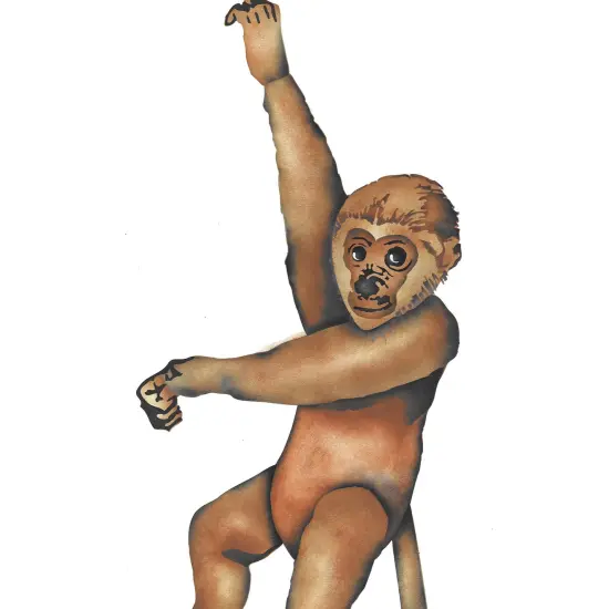 Monkey Wall Stencil | 3228 by Designer Stencils | Animal & Nature Stencils | Reusable Art Craft Stencils for Painting on Walls, Canvas, Wood | Reusable Plastic Paint Stencil for Home Makeover | Easy to Use & Clean Art Stencil {2}