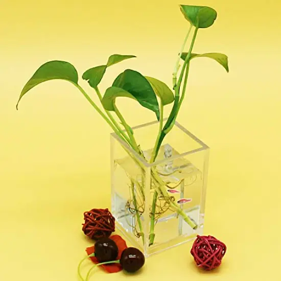 2 Pack Clear Acrylic Pencil Pen Holder Cup,Desk Accessories Holder,Makeup Brush Storage Organizer,Modern Design Desktop Stationery Organizer for Office School Home Supplies,2.6x 2.6x 4 inches {2}