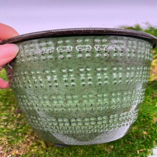 Planter 6" - Beaded Green {5}
