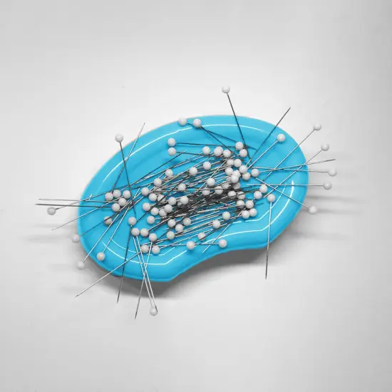 Sassy Magnetic Pin Holder Blue {1}