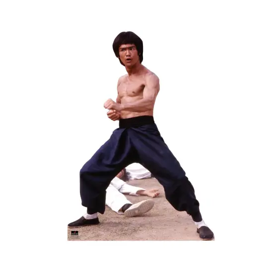 Bruce Lee - Fight Stance {1}