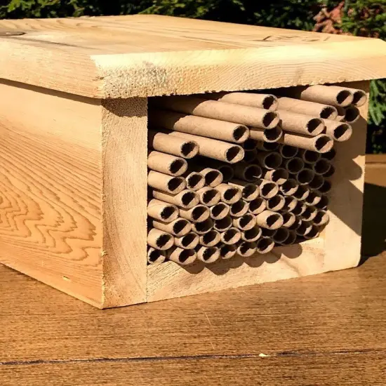 Natural Pollinator House - ECO Paper Tubes {5}