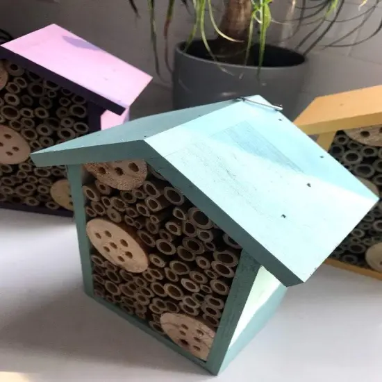 Sunny 1 Room Pollinator House Purple {6}