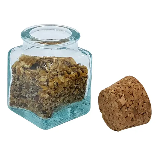 Green Glass Bottle with Cork Stopper, Multi-Pack {6}