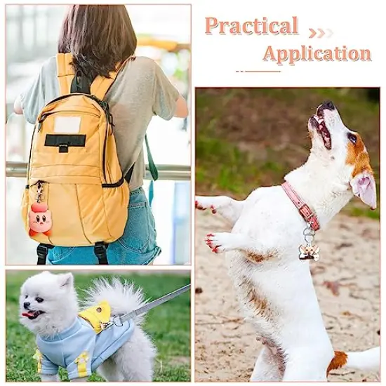 Keychain Bulk with Key Chain Swivel Hook D Rings and Slide Buckles for Handbag Purse Hardware Craft (1 Inch) {5}